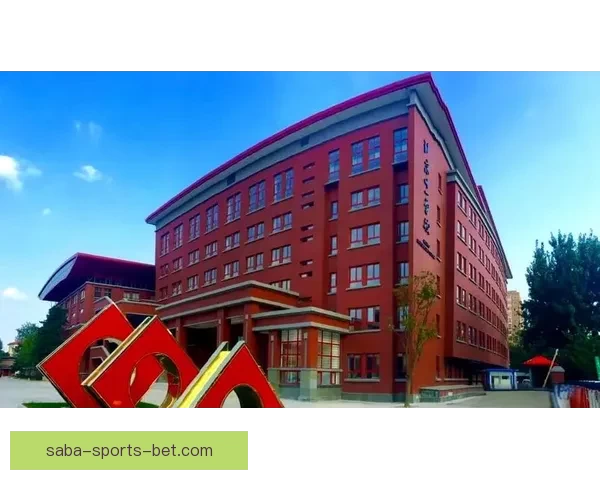 深度解析世界杯足球竞猜投注技巧与赛前数据趋势全面指南